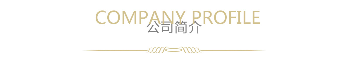 公司簡(jiǎn)介_(kāi)02.jpg