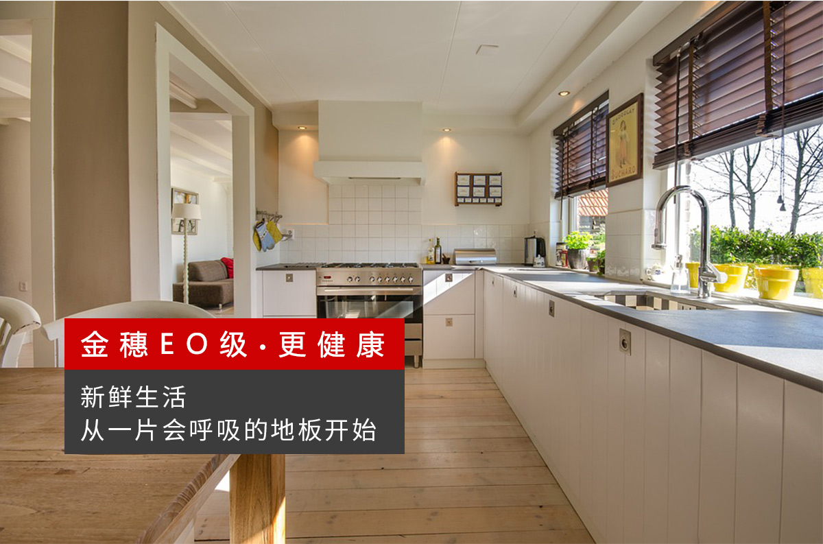 品牌簡(jiǎn)介_(kāi)07.jpg